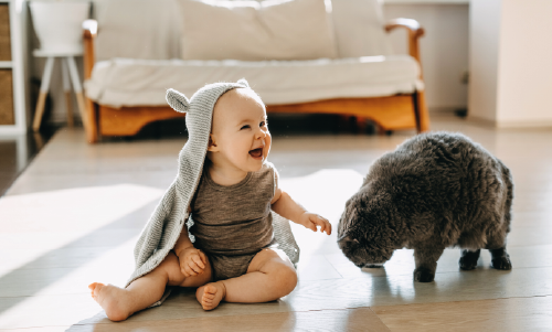 Accoglienza serena tra Pet e neonato