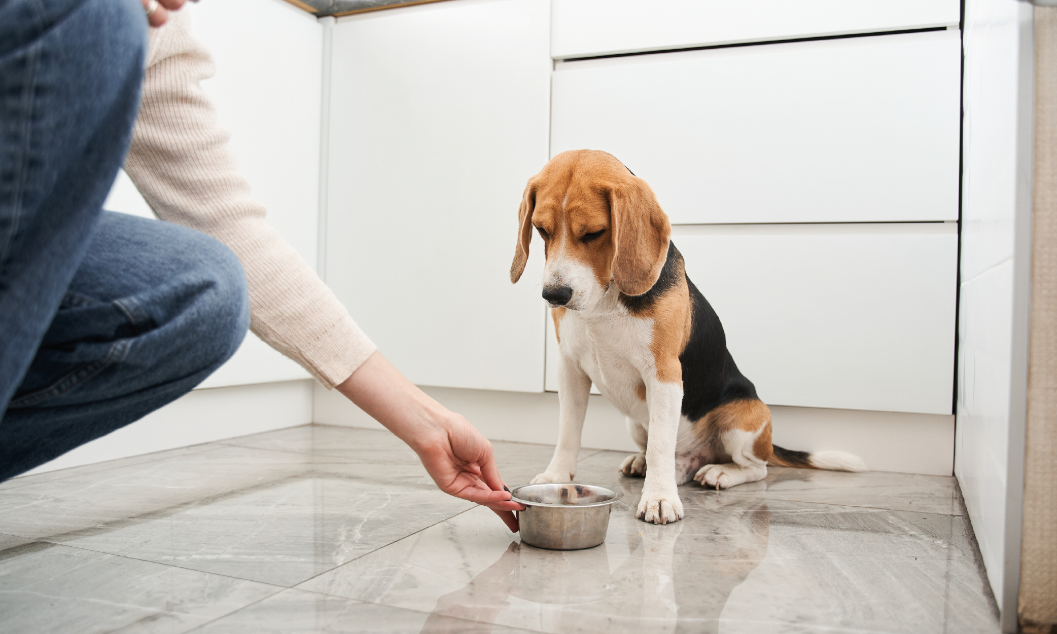 Integratori per il benessere gastrico