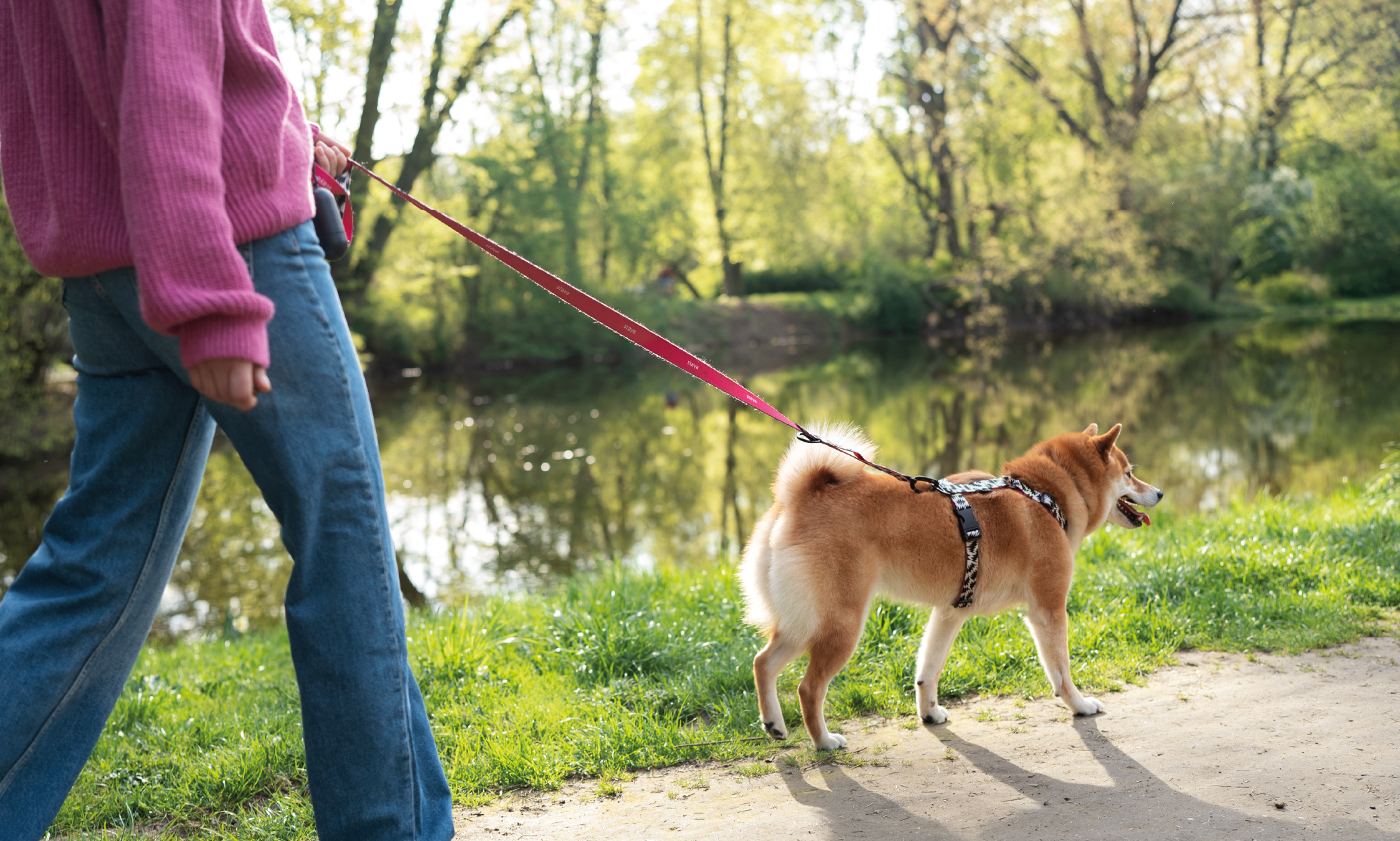 Protezione cane dagli insetti primaverili