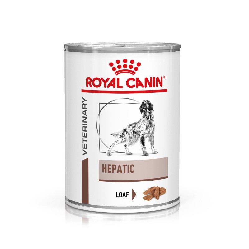 Royal Canin Cane V-Diet Hepatic Umido - 420 g img