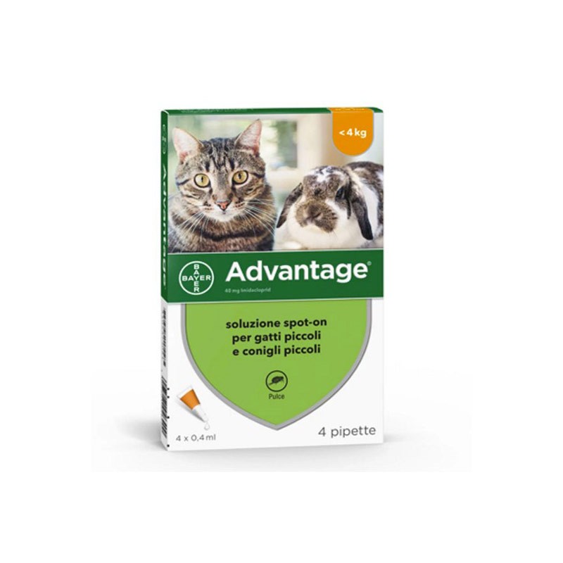 Elanco Advantage Spot-On per Gatti, Conigli e Furetti - 4 Pipette, Media