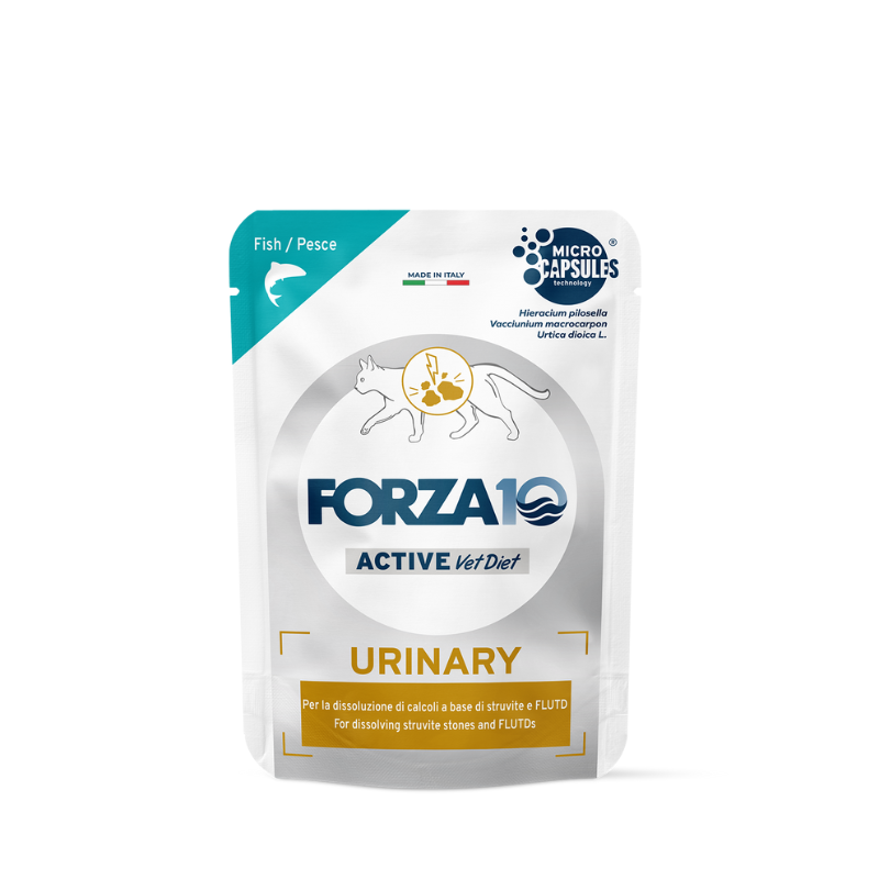 Forza10 Urinary Active al Pesce Umido per Gatti - 80 g, 12 pezzi