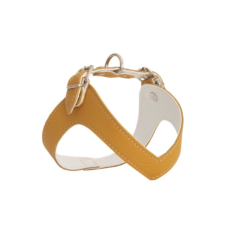 Rich Dog Pettorina Kite Color Cornflake - XL