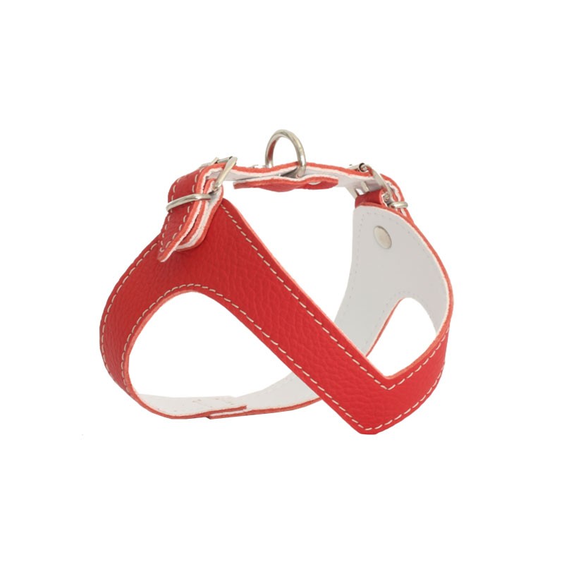Rich Dog Pettorina Kite Colore Rosso - XL