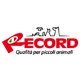 Record