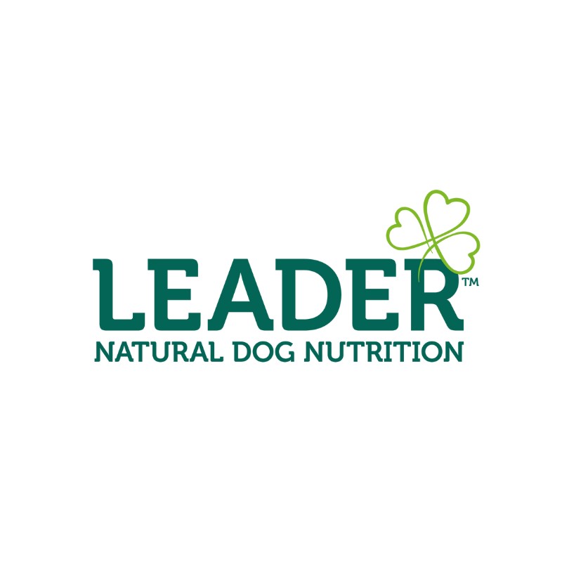 Leader