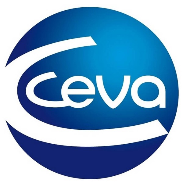 Ceva Vetem