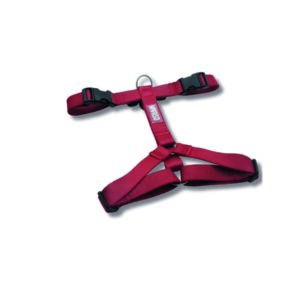 Morso Pettorina ad H Ruby