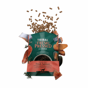 Tribal Fresh Pressed al Salmone per Cani