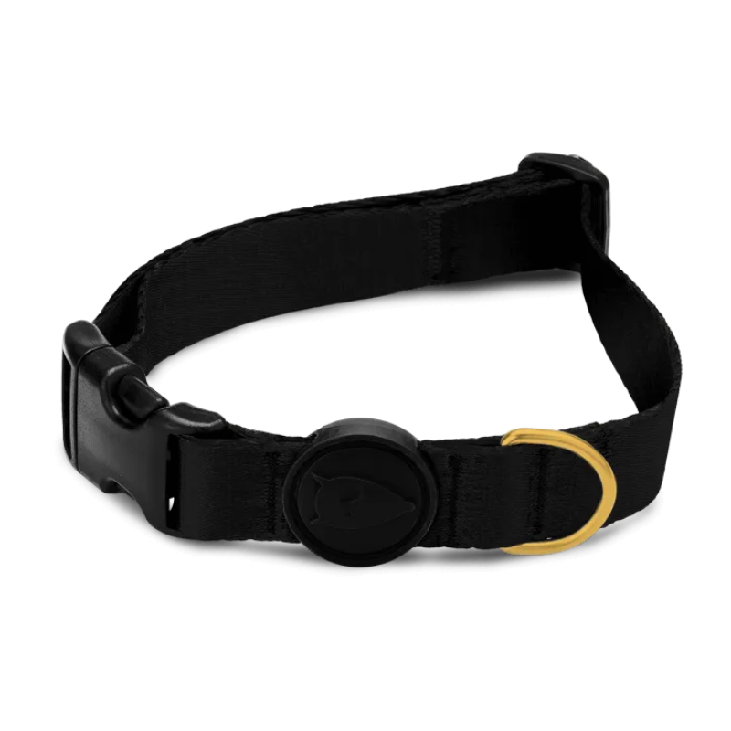 Morso Collare Gold Caviar Nero - S