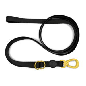 Morso Guinzaglio Gold Caviar Nero