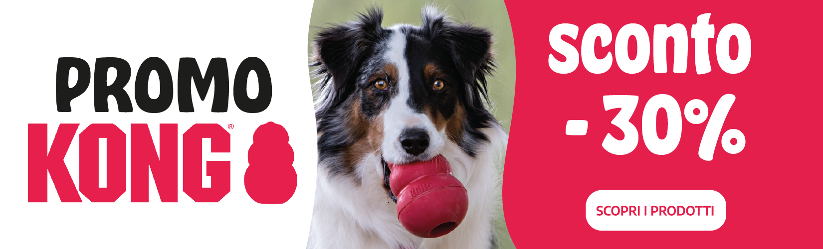Promo Kong: -30% di sconto su prodotti Kong