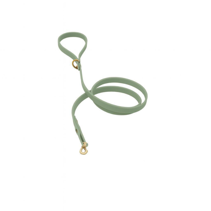 Pet Cherie Classic Biothane Lead/Gold Foggy Green - L