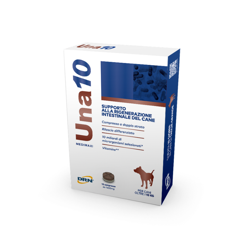ICF Una10 Medium Maxi per Cani